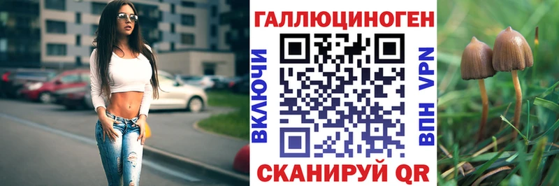 mega tor  где найти наркотики  Мещовск  Псилоцибиновые грибы мицелий 