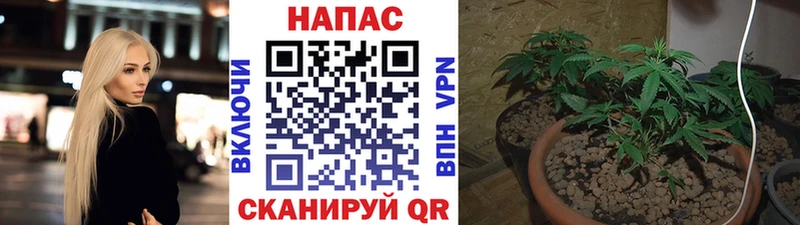 Бошки марихуана White Widow  кракен tor  Мещовск  дарнет шоп 
